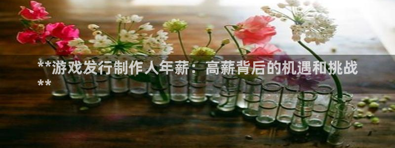 新宝gg上线被抓：**游戏发行制作人年薪：高薪背后的机遇和挑战
**