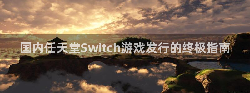 新宝gg官网最新版本更新内容介绍：国内任天堂Switch游戏发行的终极指南